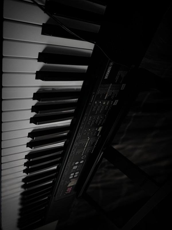 Buy Yamaha PSRF52 Portable Keyboard with 61 Keys Azad Music